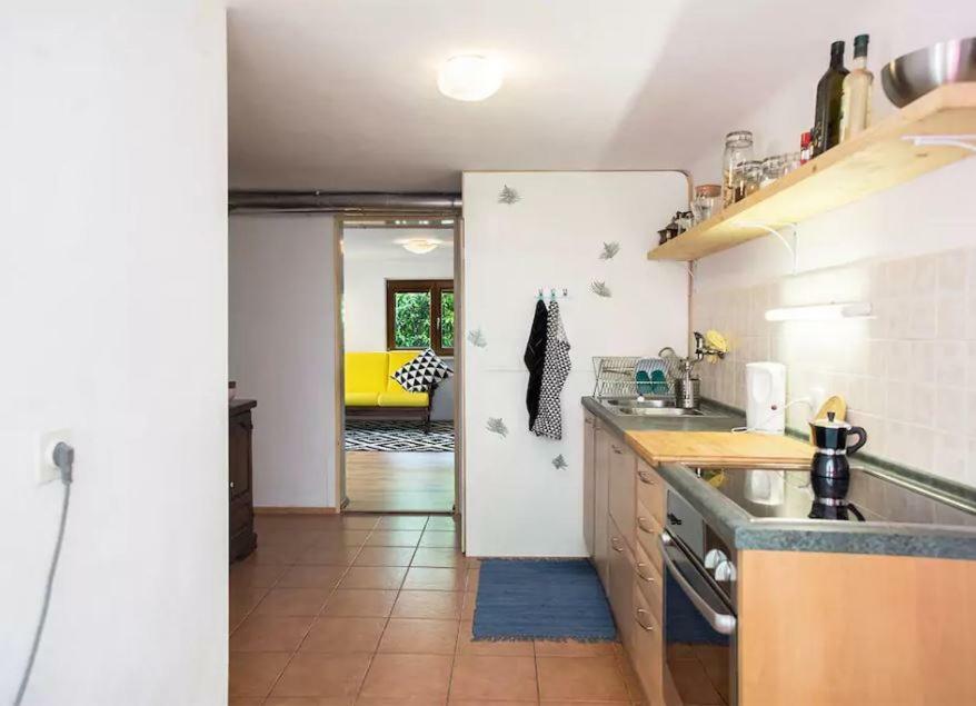 Mediterranean Family Design イゾラ エクステリア 写真