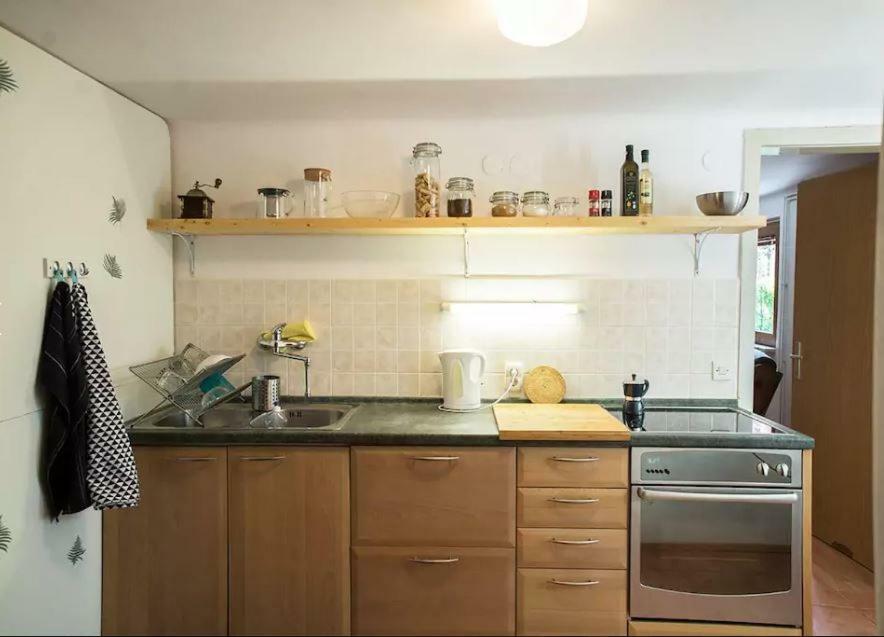 Mediterranean Family Design イゾラ エクステリア 写真